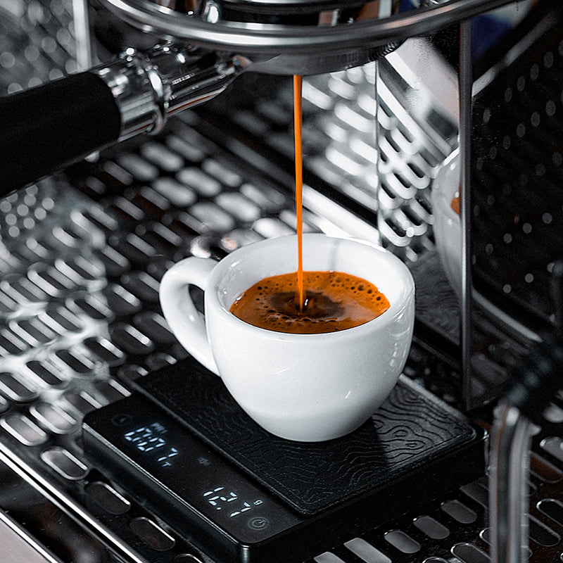 Pro Barista Coffee Scale/Timer - Our Best