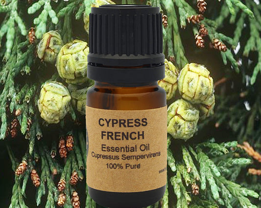 Cypress Essential Oil - 2 Sizes